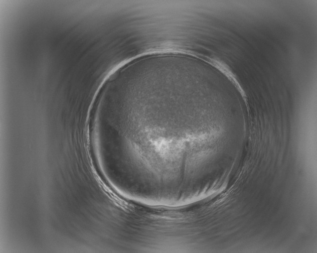 X0000052571388200507081650