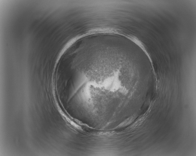 X0000052571389200507081650