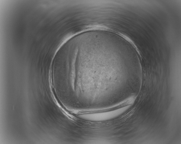 X0000052571391200507081650