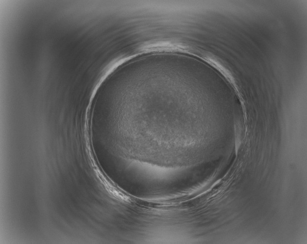 X0000052571392200507081650