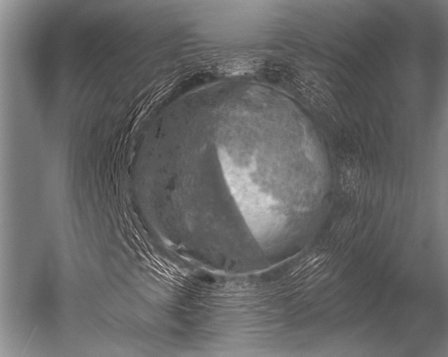 X0000052571393200507081649