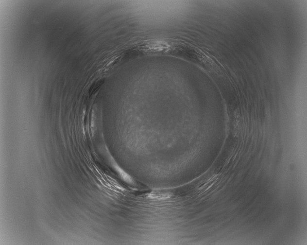 X0000052571394200507081649