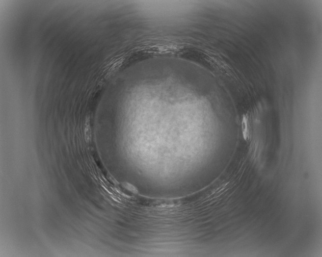 X0000052571395200507081649