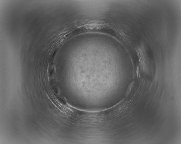 X0000052571396200507081649