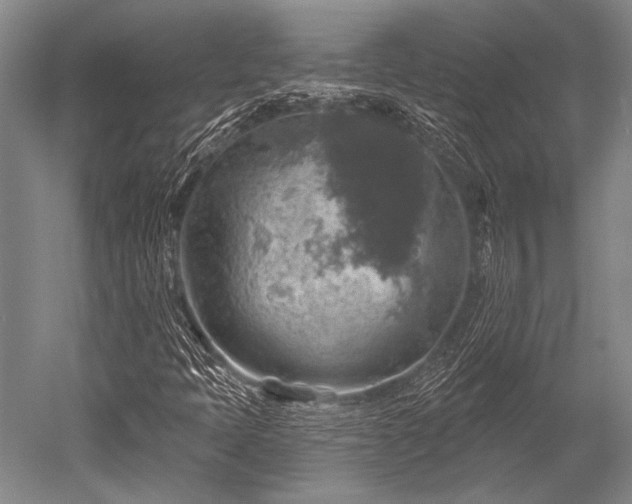 X0000052571397200507081649