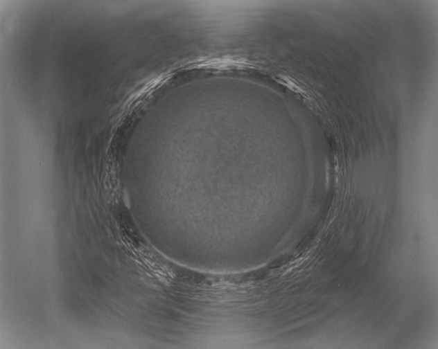 X0000052571398200507081649