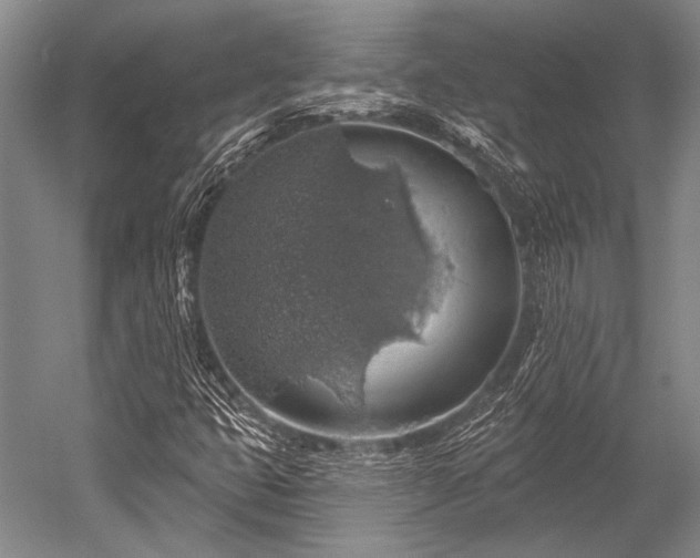 X0000052571399200507081649