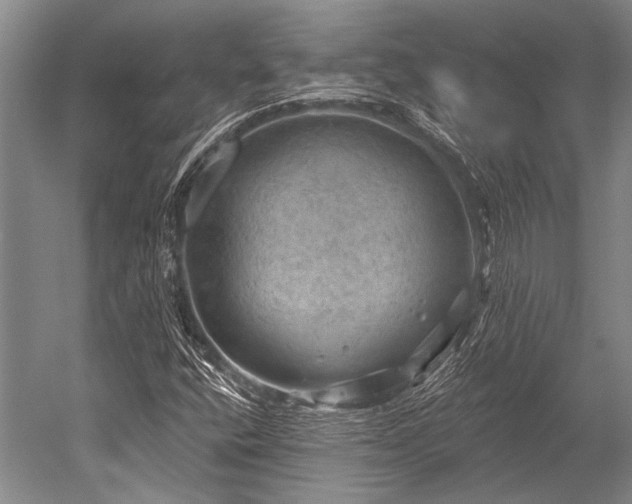 X0000052571400200507081649