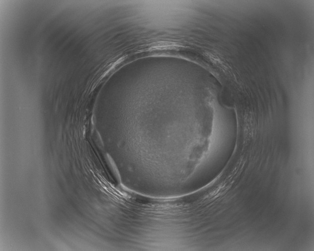 X0000052571401200507081649