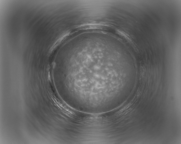 X0000052571403200507081649