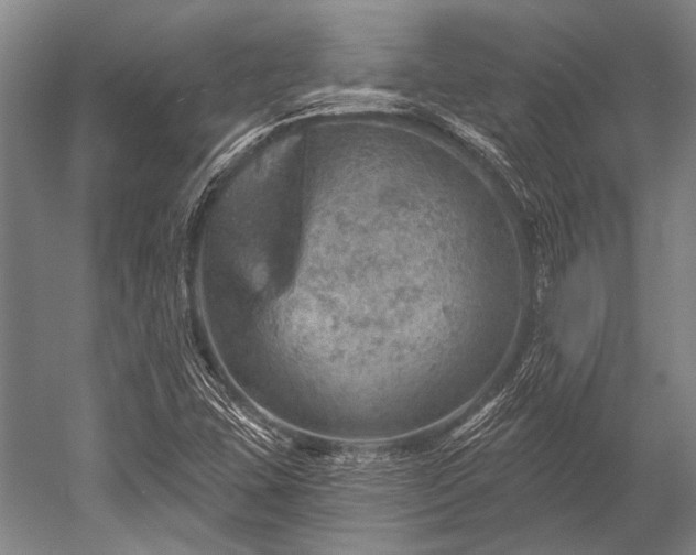 X0000052571407200507081650