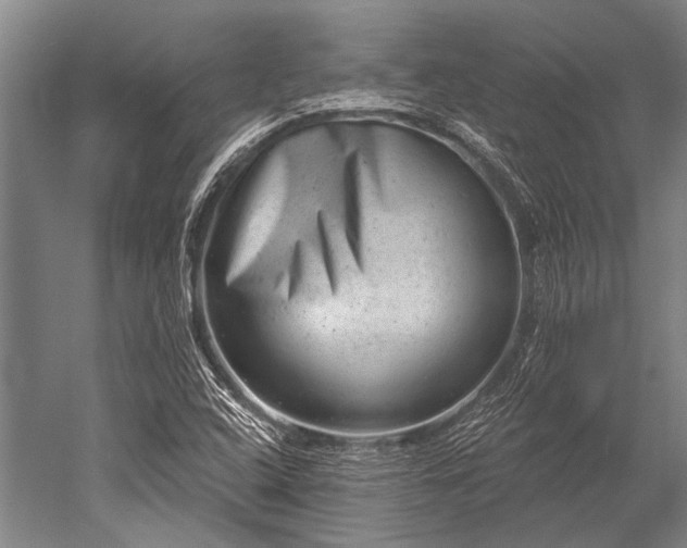 X0000052571408200507081650