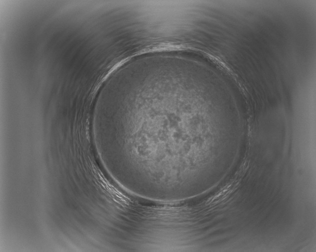 X0000052571409200507081650