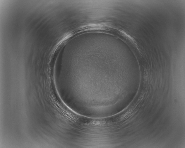 X0000052571411200507081650