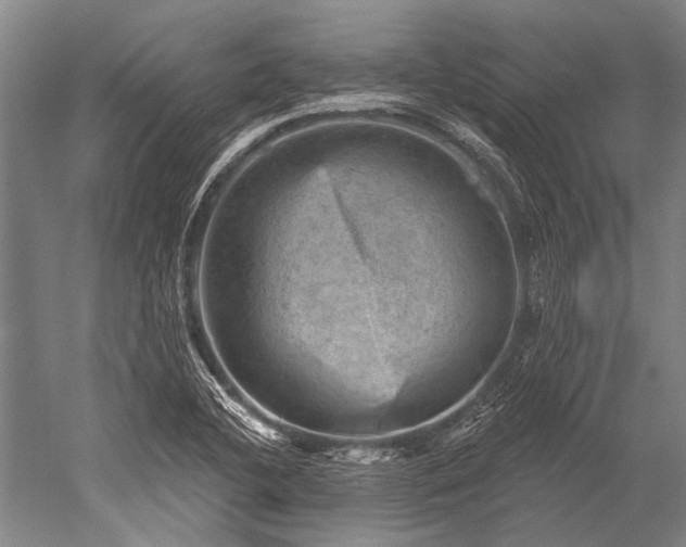 X0000052571412200507081650