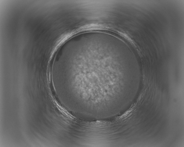 X0000052571413200507081650