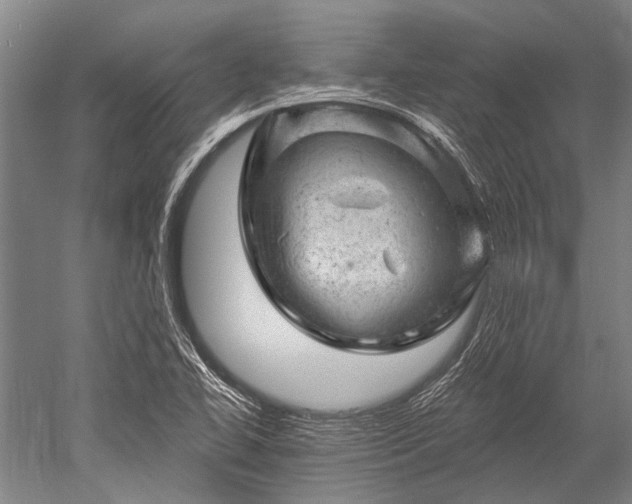 X0000052571414200507081650