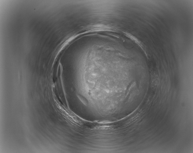 X0000052571415200507081650