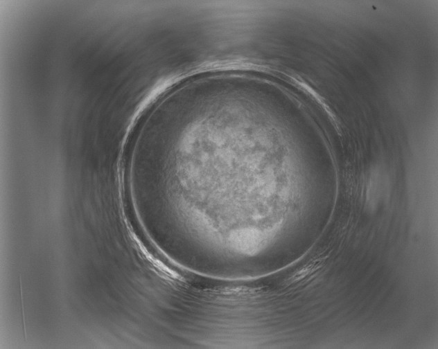 X0000052571416200507081650