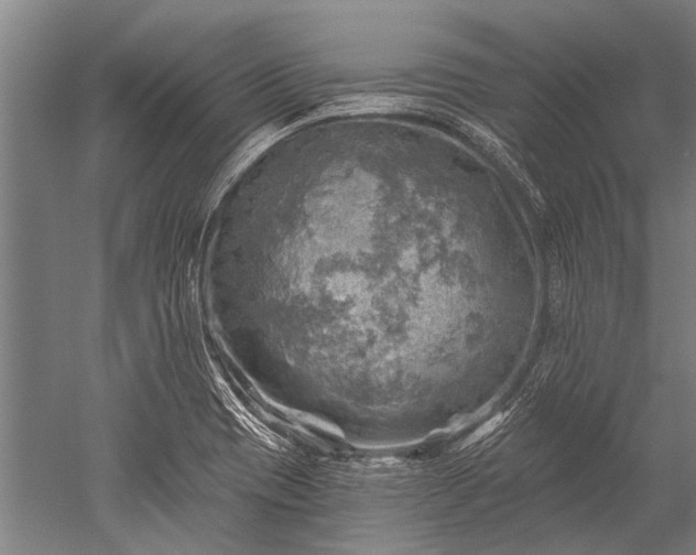 X0000052571417200507081650