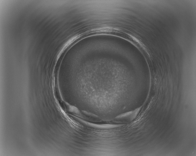 X0000052571418200507081650