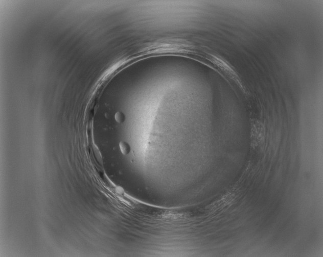 X0000052571419200507081650