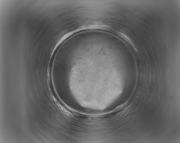 X0000052571420200507081650