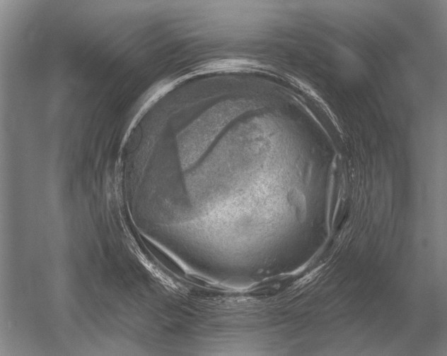 X0000052571421200507081650