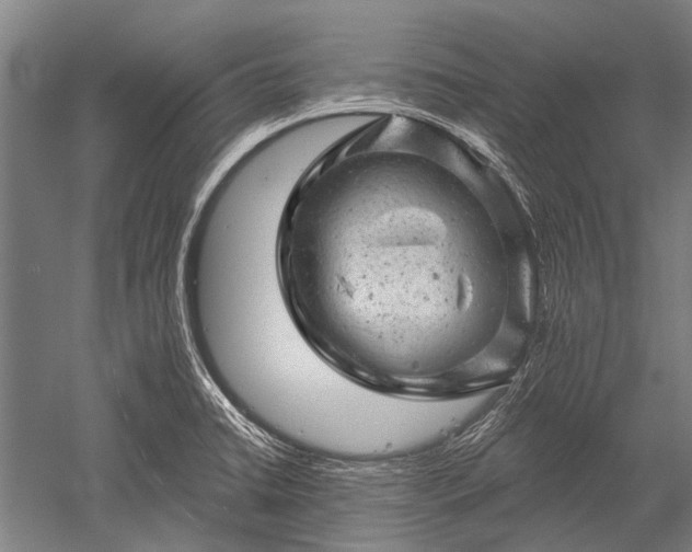 X0000052571422200507081650