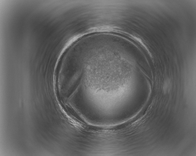 X0000052571424200507081650