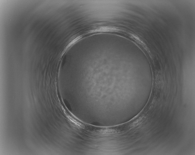 X0000052571425200507081650