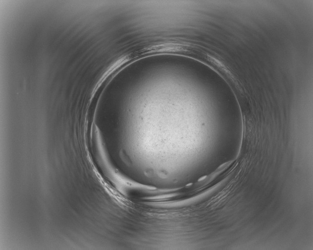 X0000052571426200507081650