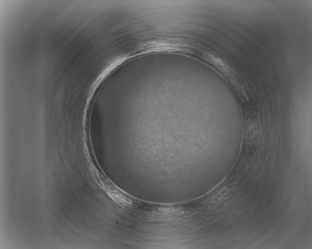 X0000052571427200507081650