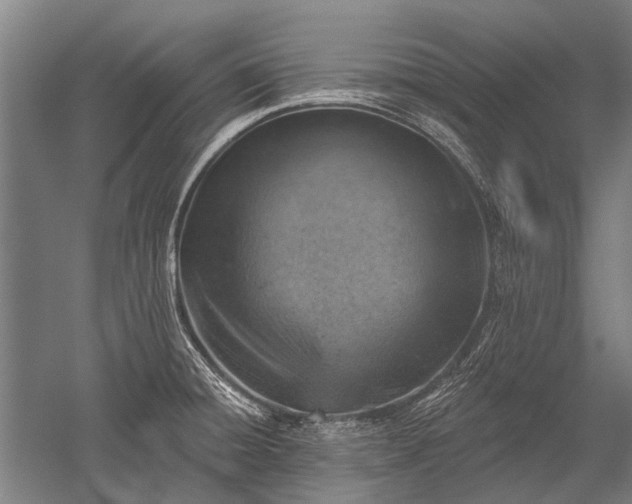 X0000052571428200507081650