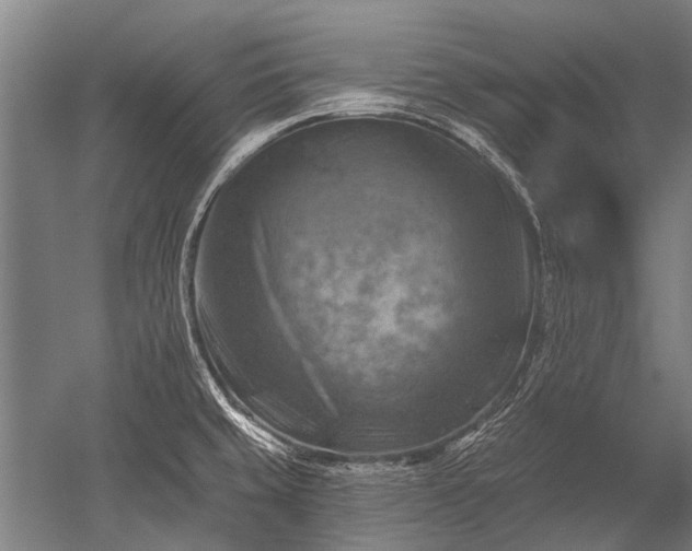 X0000052571429200507081650