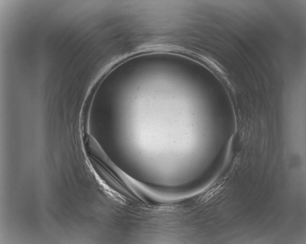 X0000052571430200507081650