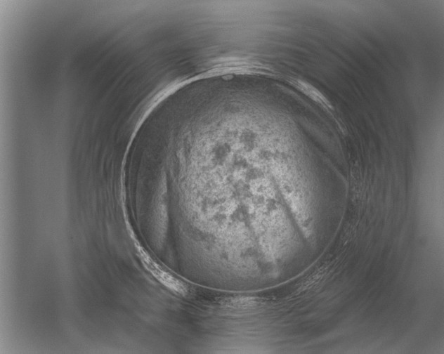 X0000052571431200507081650