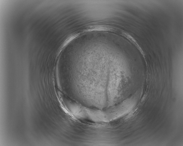 X0000052571433200507081650