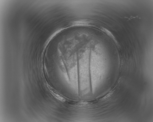 X0000052571435200507081650