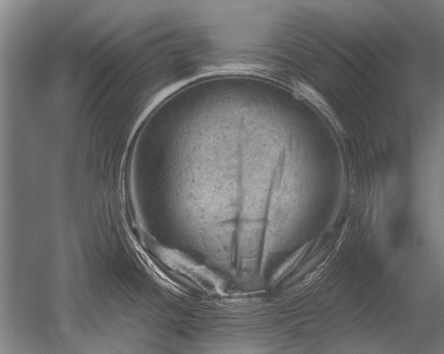 X0000052571436200507081650