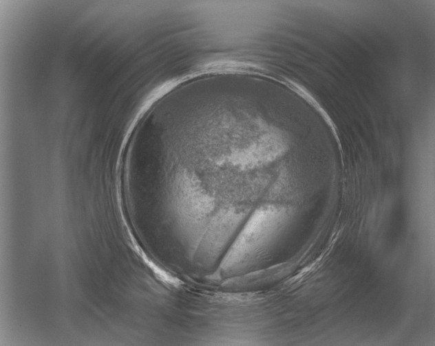 X0000052571437200507081650