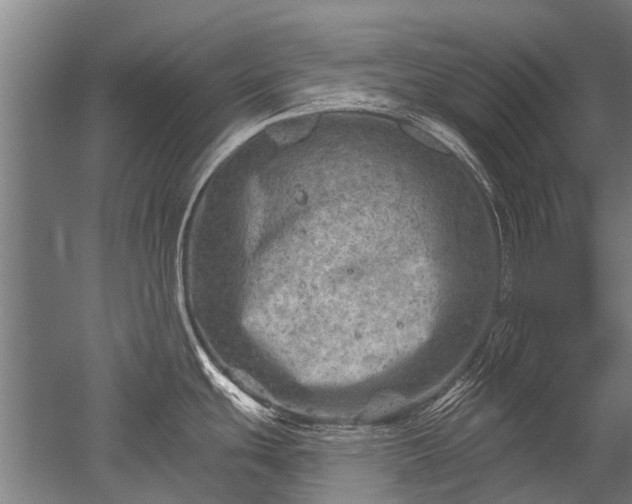 X0000052571439200507081650