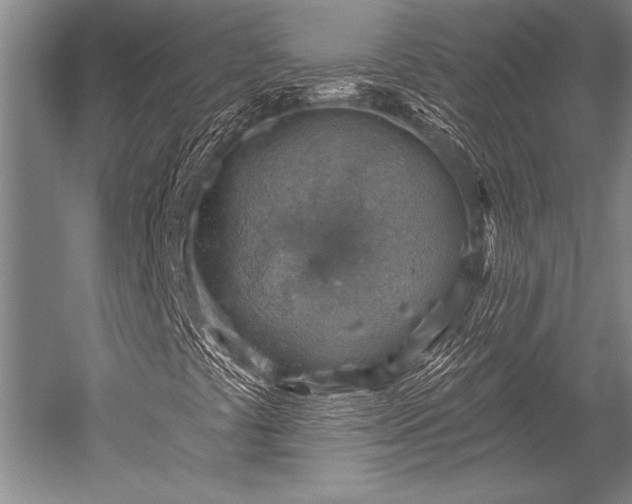 X0000052571441200507081649