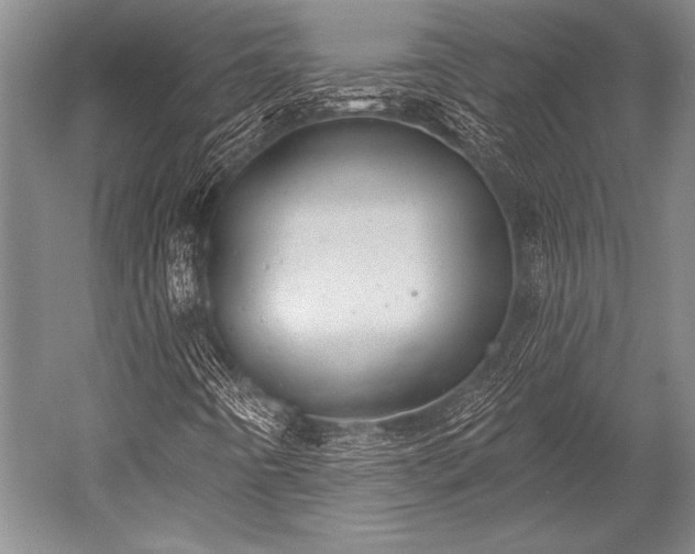 X0000052571442200507081649