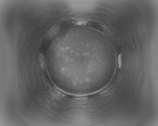 X0000052571443200507081649