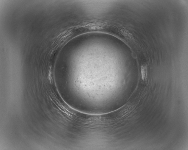 X0000052571444200507081649