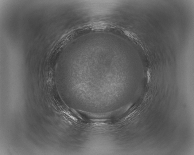 X0000052571445200507081649