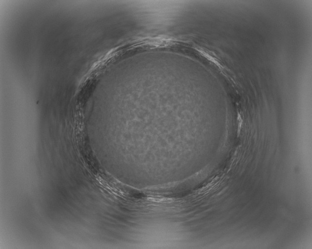 X0000052571447200507081649