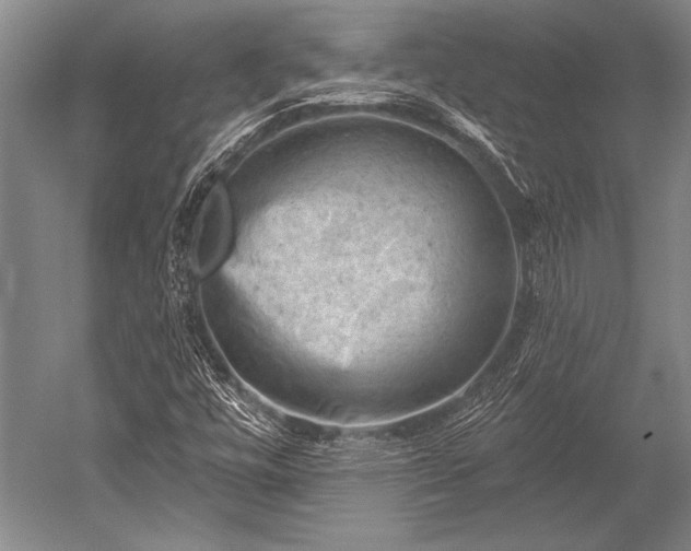 X0000052571448200507081649