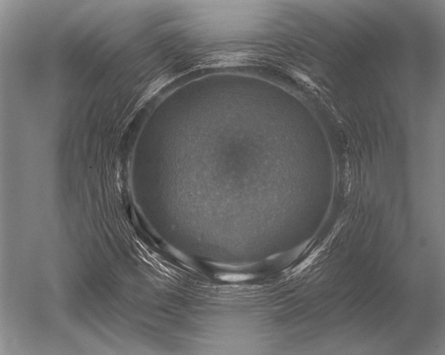 X0000052571449200507081649